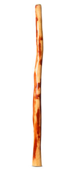 Gloss Finish Bloodwood Didgeridoo (TW1524)